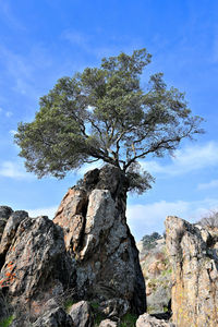 Low angle view of rock formation against sky