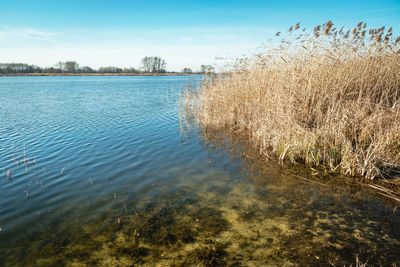 Shore of lake and sky