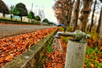 Water flowing from faucet at field by street