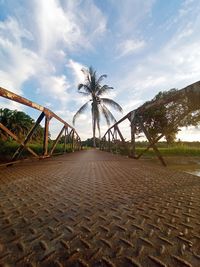 Footpath by palm trees against sky