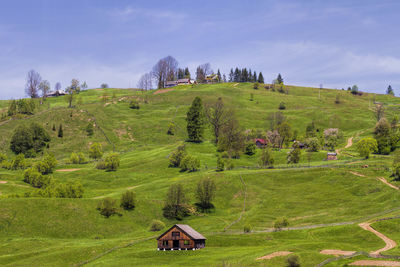 Scenic view of green landscape against sky