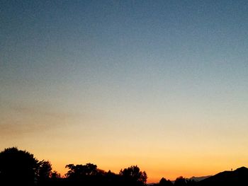 Silhouette trees against clear sky during sunset