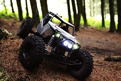 High angle close-up of toy car on grassy field in forest