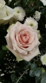 Close-up of white rose bouquet
