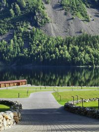 Scenic view of lake and trees