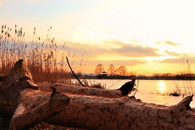 Scenic view of sunset over lake