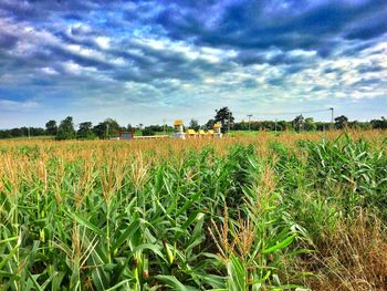 Scenic view of field against cloudy sky