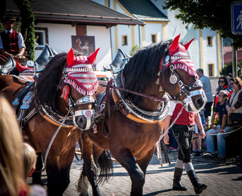 Horsedrawn on road