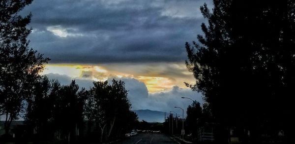 Silhouette trees against dramatic sky