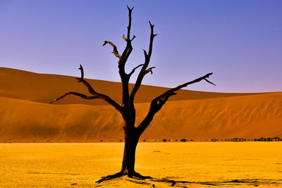 Bare tree on desert against sky