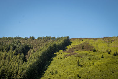 Scenic view of land against clear blue sky