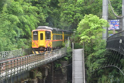 Train on bridge against trees