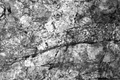 Full frame shot of rocks with trees in background