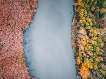 High angle view of autumn trees by lake