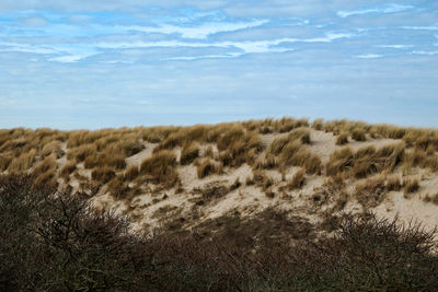 natural environment