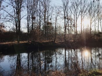Reflection of bare trees in lake against sky