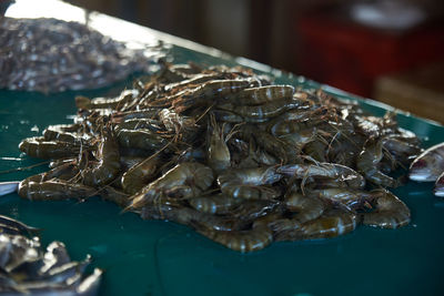 Close-up of fish for sale