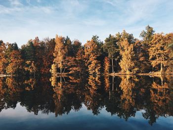 Reflection of trees in lake against sky during autumn