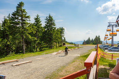 Man on road amidst trees against sky