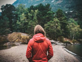 Rear view of a girl looking at trees