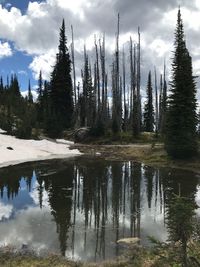 Scenic view of lake in forest against sky