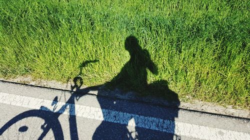 Shadow of person on wall