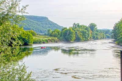 Scenic view of river in forest against sky