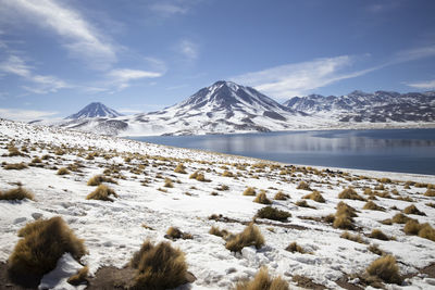 Lagunas altiplánicas in atacama desert