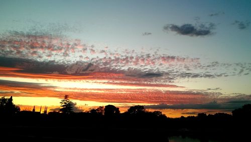 Silhouette of trees at sunset