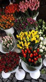 High angle view of various flowers for sale at market stall