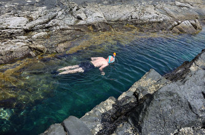 High angle view of ducks swimming on rock