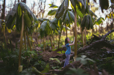 Woman standing by plants in forest