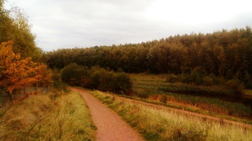 Road amidst field against sky