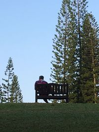 Rear view of man sitting on tree against clear sky