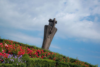 Low angle view of flowering plant against sky