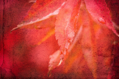 Full frame shot of red abstract background