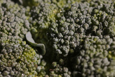 Full frame shot of broccoli