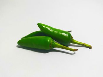 Close-up of green chili pepper against white background