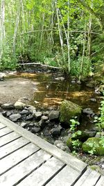 Water flowing through rocks in forest