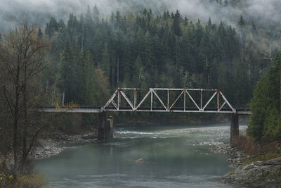 Bridge over river in forest