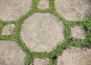 Close-up view of stone footpath