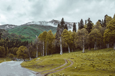 Scenic view of trees and mountains against sky