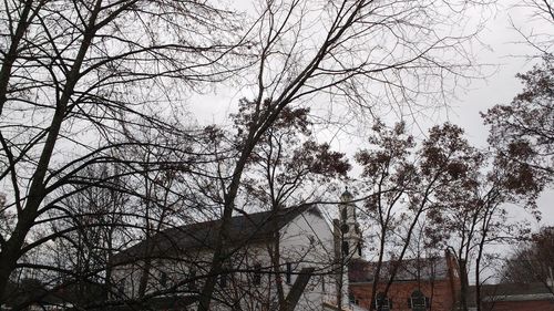 Low angle view of bare trees against the sky