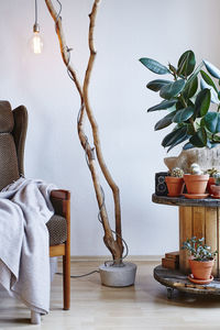 Potted plant on table against wall at home