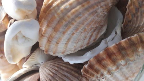 Close-up of bread