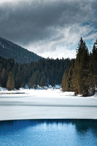 Snow covered pine trees by lake against sky