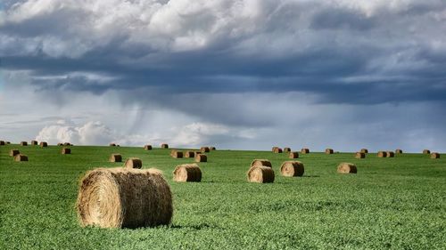 Hay bales on field against sky