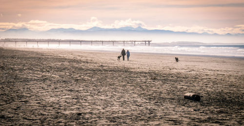 Men on beach against sky during sunset