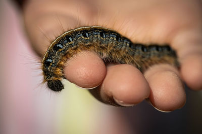 Close-up of human skin