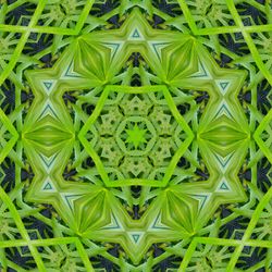 Full frame shot of abstract pattern